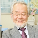 Därför är Yoshinori Ohsumi årets Nobelpristagare i medicin